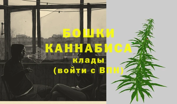 прущие крисы Березники