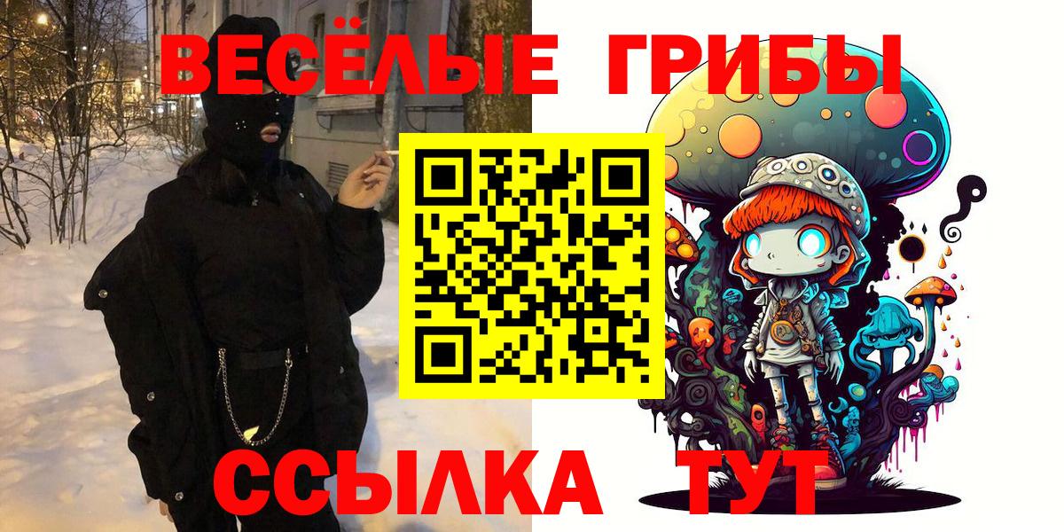 Россия  Галлюциногенные грибы Psilocybe  Вход с VPN  Псилоцибиновые грибы прущие грибы 