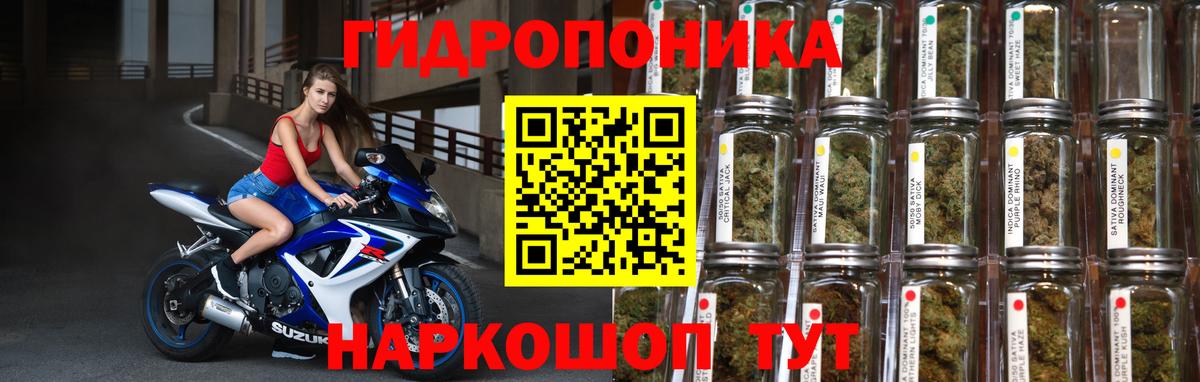 Россия  Канабис сатива  Вход с VPN  Марихуана MAZAR  Бошки Шишки Amnesia 